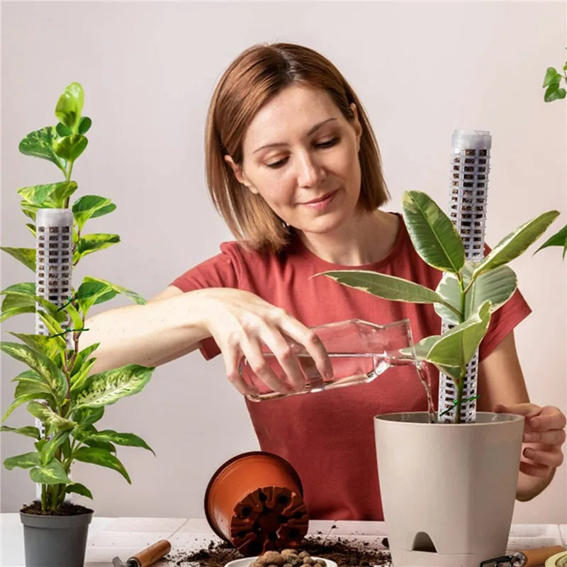 Plant Climbing Frame Plant Trellis Supporting Stick