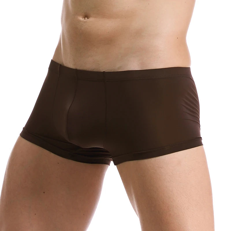 Ice Silk Ultra-Thin Boxer Shorts for Men