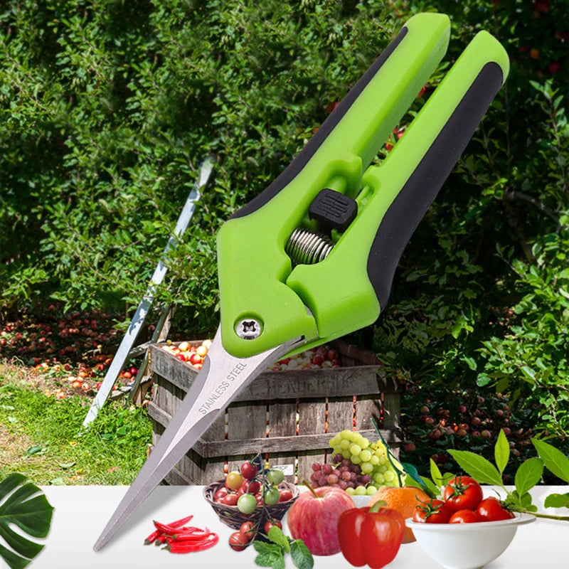 Garden Pruning Shears Stainless Steel Plants Fruit Grape Picking Scissors
