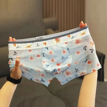 Sexy Mesh See-Through Boxer Shorts