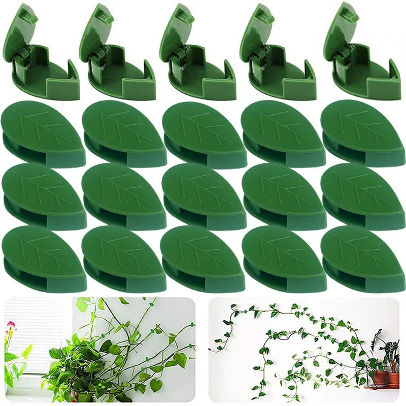 Traction Holder Plant Fixing Clip Garden Tool