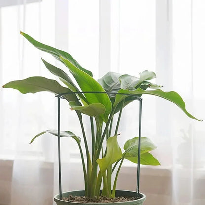 6pcs Tall Plant Support Stakes Metal Half Round Garden Plant