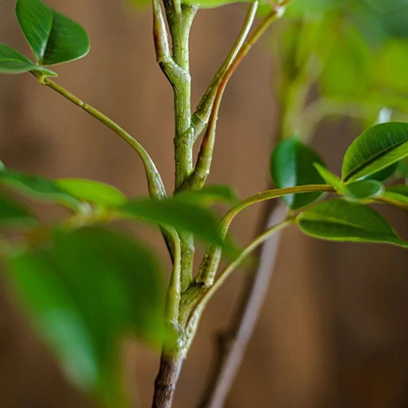 76-140cm Large Artificial Focus Tree Branch Fake Lacquer Tree