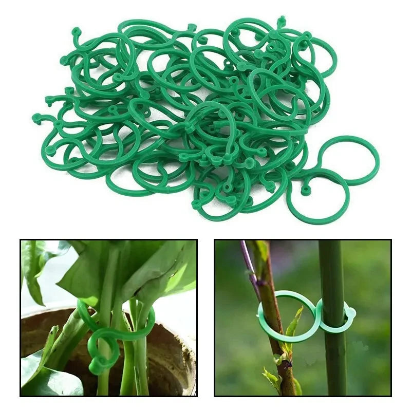50Pcs 8 Word Buckle Vine Tying Clips Ring