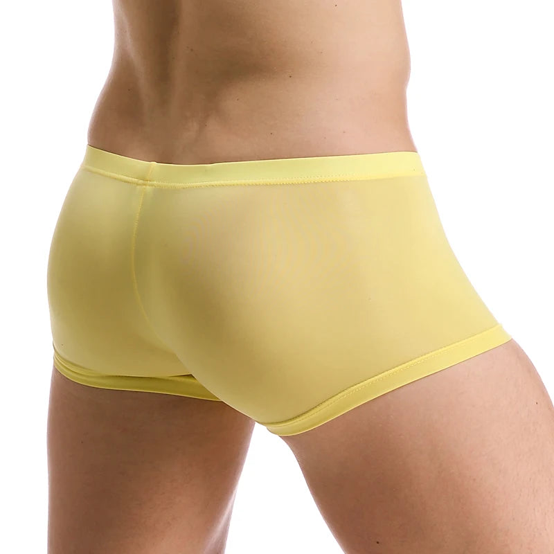 Ice Silk Ultra-Thin Boxer Shorts for Men