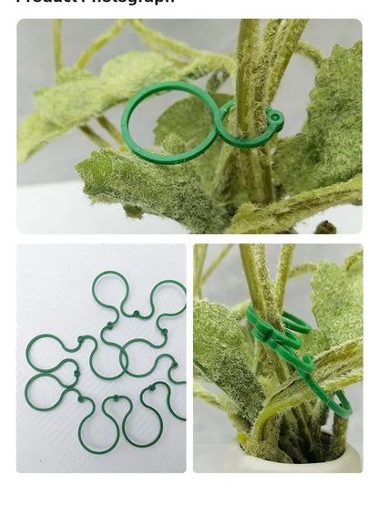 50Pcs 8 Word Buckle Vine Tying Clips Ring