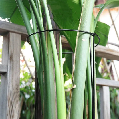 6pcs Tall Plant Support Stakes Metal Half Round Garden Plant