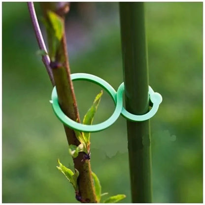 50Pcs 8 Word Buckle Vine Tying Clips Ring