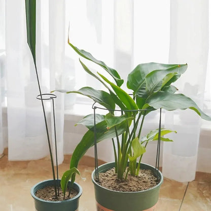 6pcs Tall Plant Support Stakes Metal Half Round Garden Plant