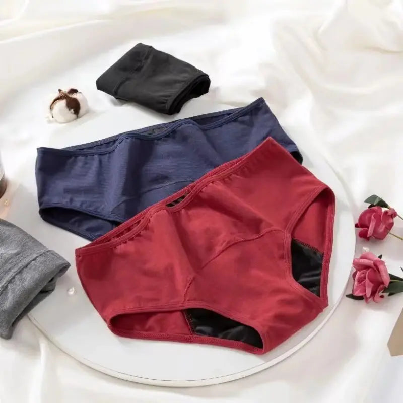 Leak-Proof Menstrual Briefs for Women