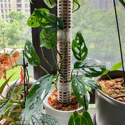 Plant Climbing Frame Plant Trellis Supporting Stick