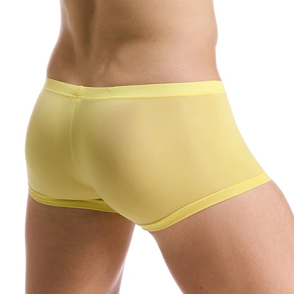 Ice Silk Ultra-Thin Boxer Shorts for Men