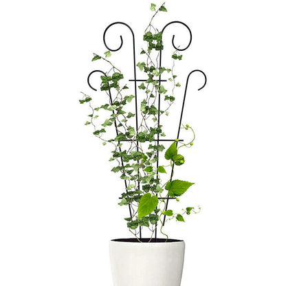 Garden Plant Support Home Plant Care Soil Floral Arrangement