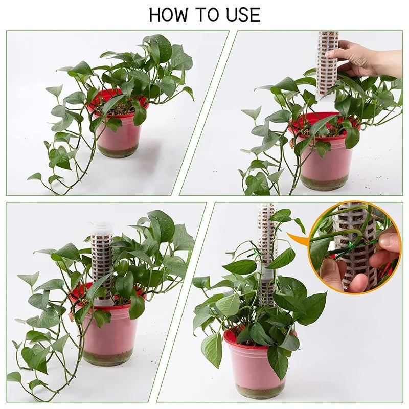 Plant Climbing Frame Plant Trellis Supporting Stick