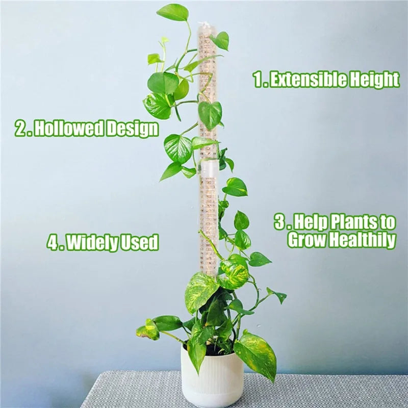 Plant Climbing Frame Plant Trellis Supporting Stick