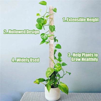 Plant Climbing Frame Plant Trellis Supporting Stick