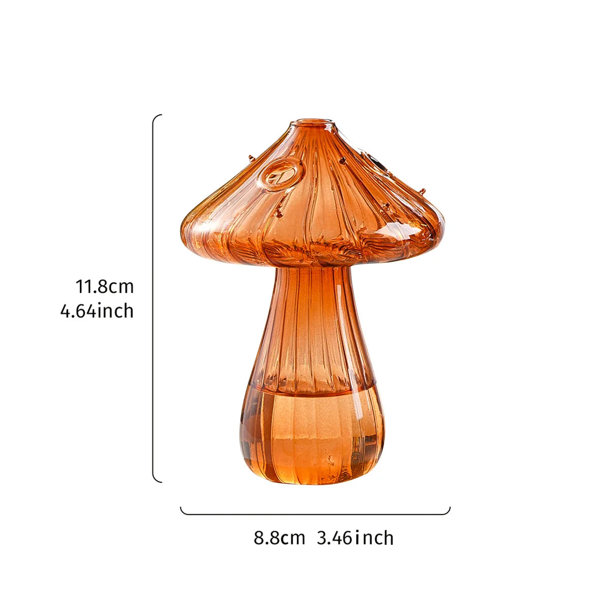 Transparent Glass Mushroom Vase - Hydroponic Planter