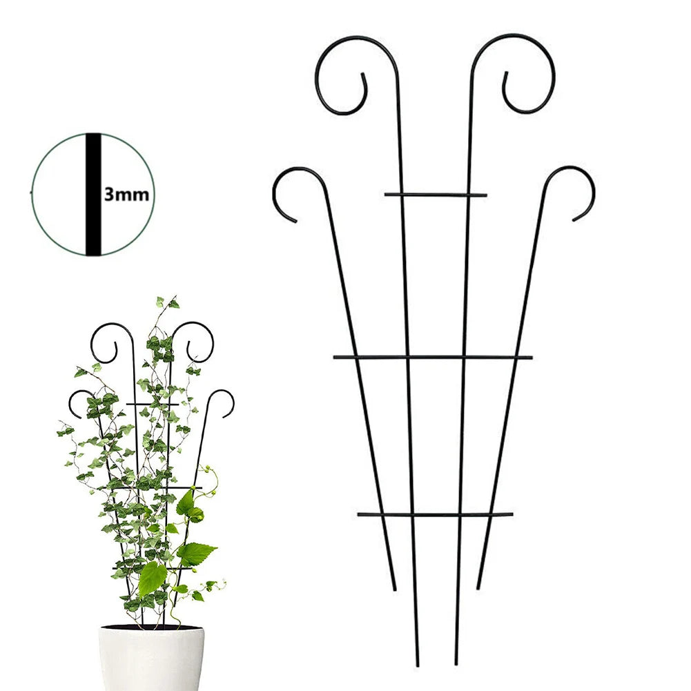 Garden Plant Support Home Plant Care Soil Floral Arrangement