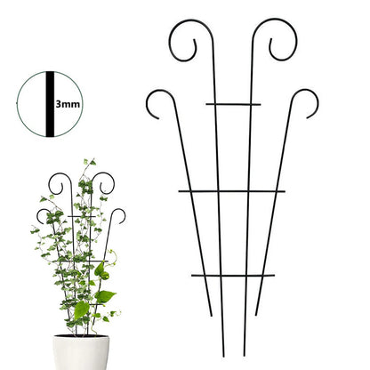 Garden Plant Support Home Plant Care Soil Floral Arrangement