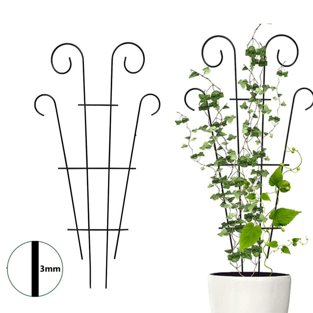 Garden Plant Support Home Plant Care Soil Floral Arrangement