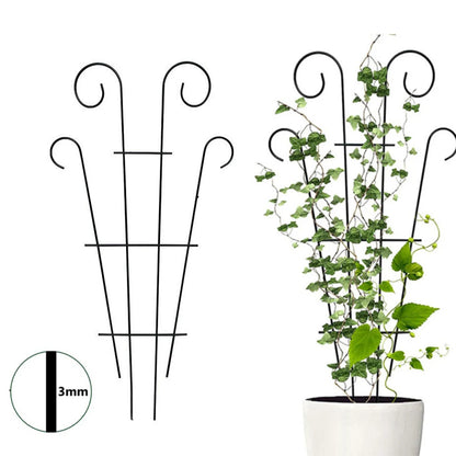 Garden Plant Support Home Plant Care Soil Floral Arrangement