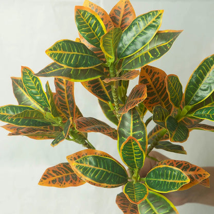 24-41cm Artificial Tree Tropical Banyan Tree Small Plants
